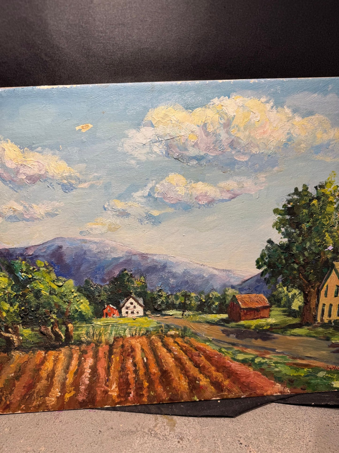 Ruth Wierenga Signed Countryside Landscape – Original Oil Painting, 18″ × 14″ (Unframed)