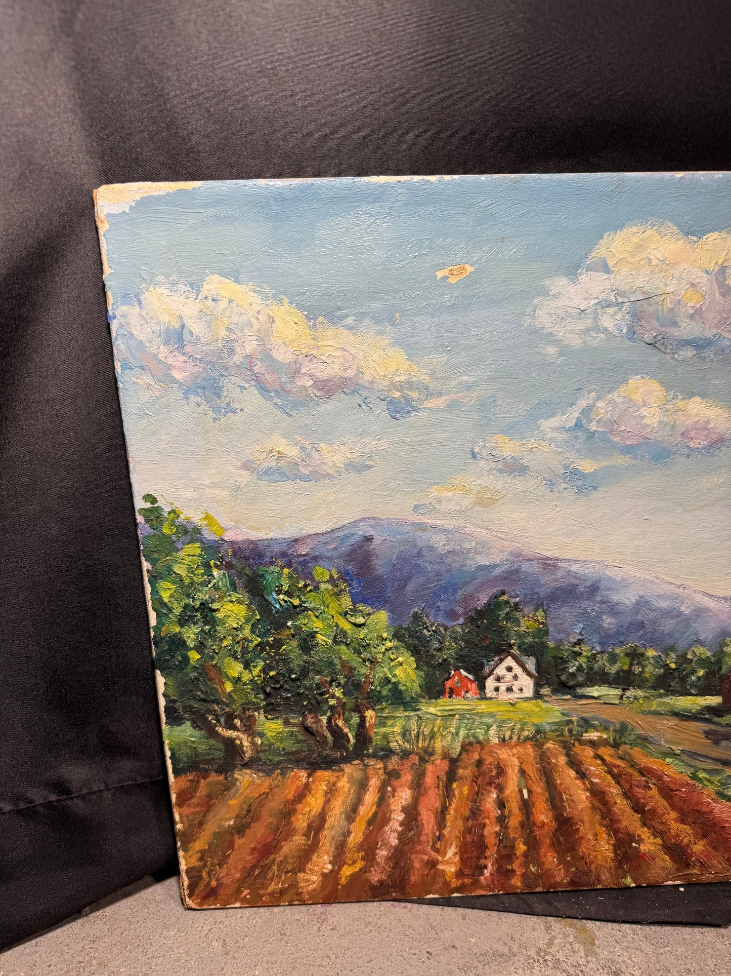 Ruth Wierenga Signed Countryside Landscape – Original Oil Painting, 18″ × 14″ (Unframed)